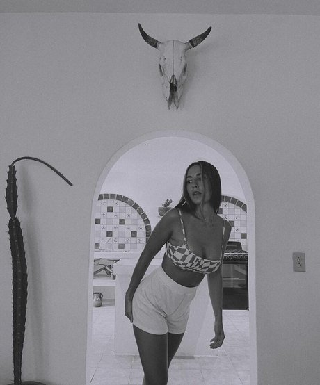 paulagonu étoile parfaite galerie