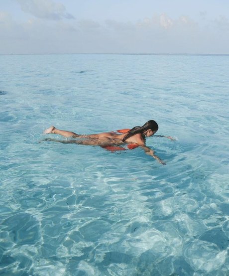 ventilateurs légers uniquement beau xxx image