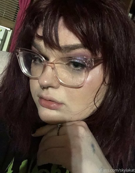 skylakat étoile parfaite photo