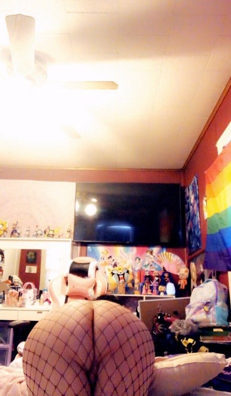 skylakat modèle joli image