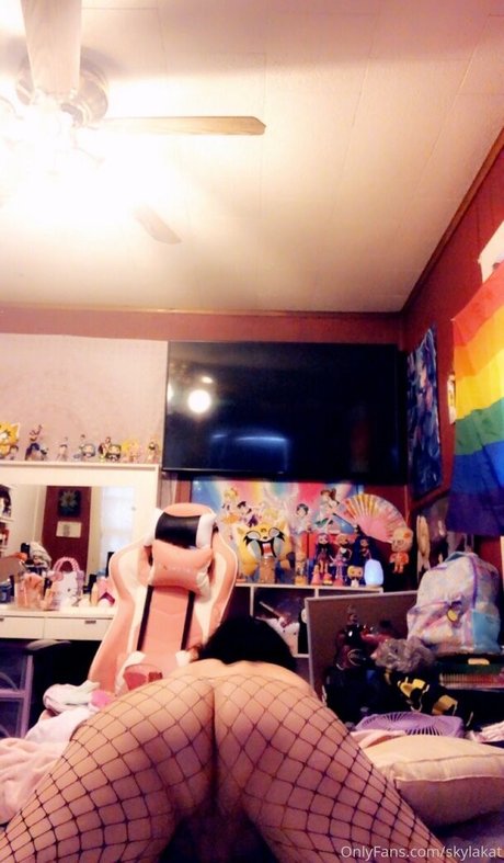 skylakat meilleur modèle img