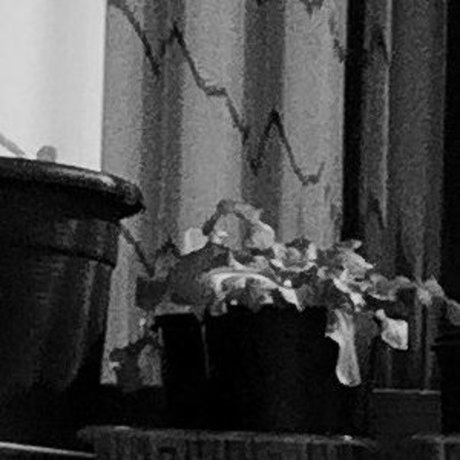 orchardgirlnz haut modèle image