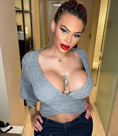 manuelferraratv modèle magnifique collection