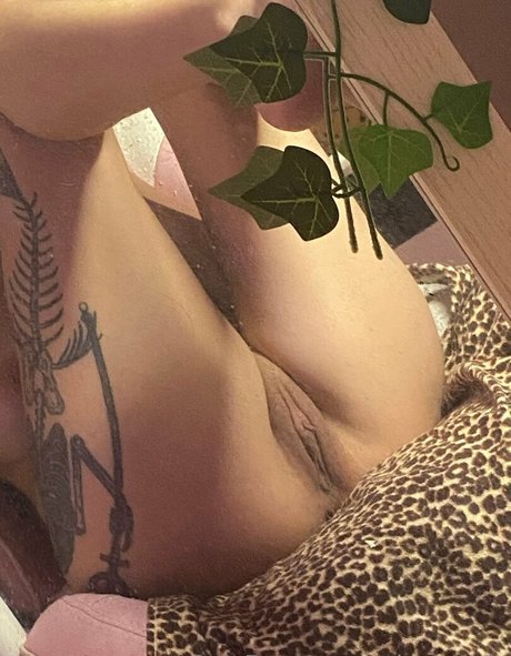 arabes épais onlyfans xxx haute qualité image