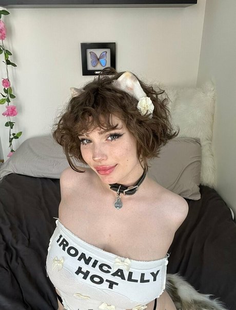 realmkittenfree star du porno adulte collection