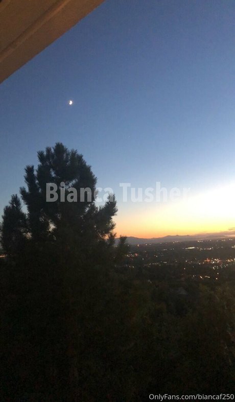 biancavip star du porno érotique galerie