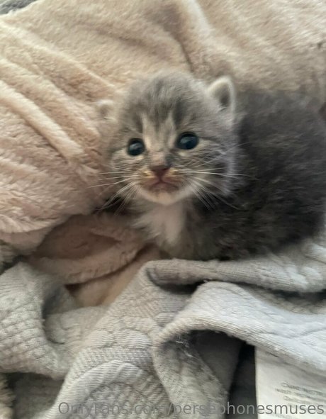 vieille milf onlyfans assez haute qualité image