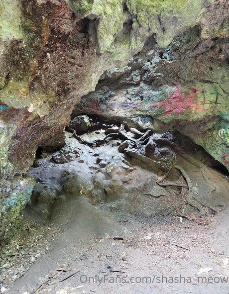 shasha meow Profilfoto