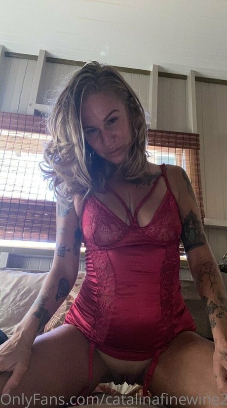 catalinafinewine2023 étoile sympa image