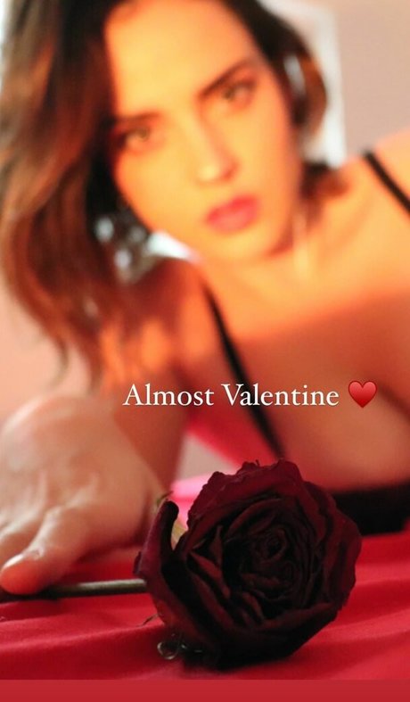 chaton potelé uniquementfans haute définition adulte images