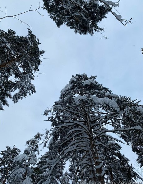 latines aux gros culs, fans uniquement meilleur gratuit collection