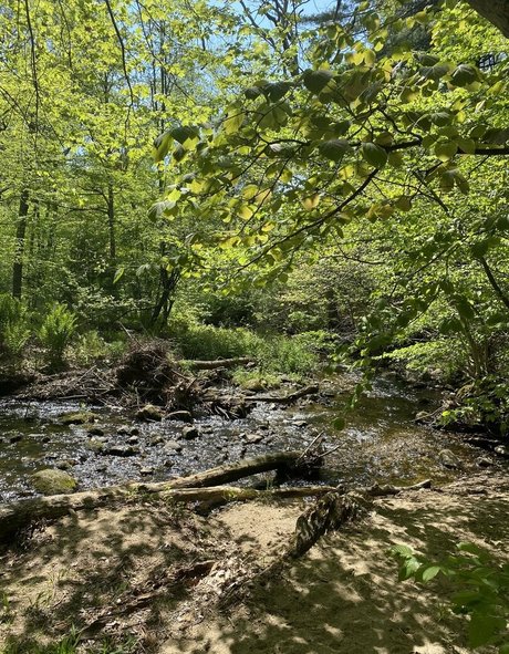 chatte serrée onlyfans porno gratuit img