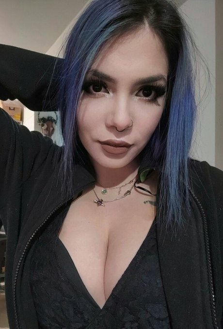 Megaptera art de star du porno collection