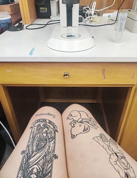 Megaptera xxx étoile image