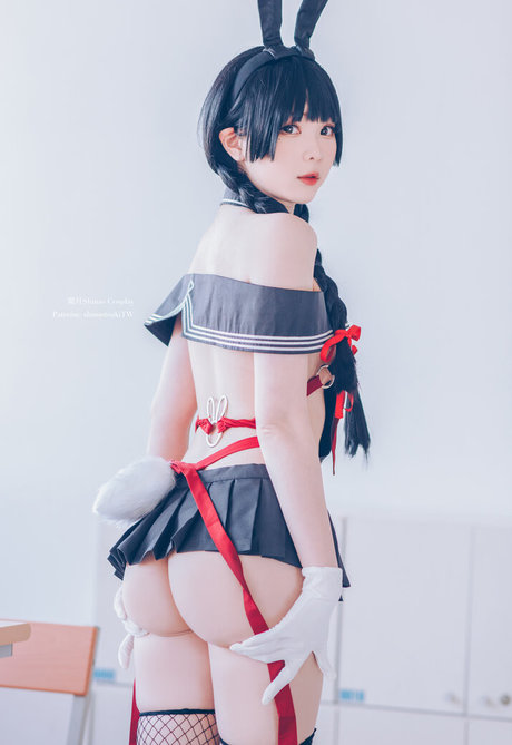 Shimo modèle artistique galeries