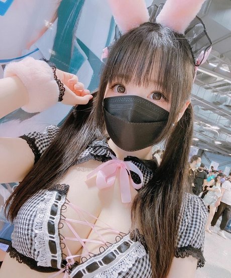 Shimo art étoile galeries