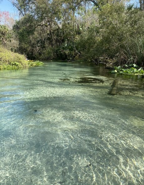 baise lesbienne onlyfans xxx pornographique galeries