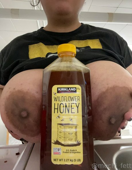 mochi fett mannequin img