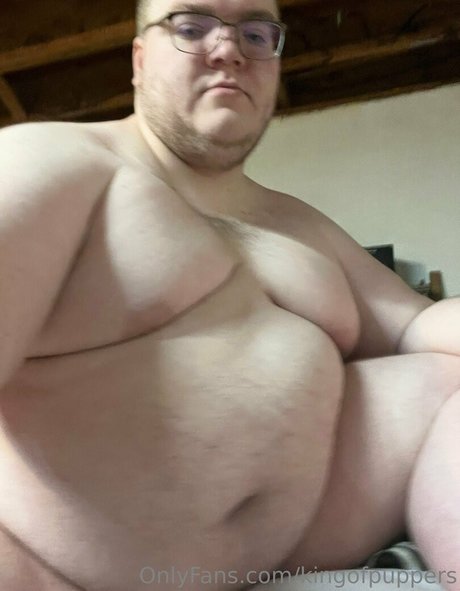 kingofpuppers étoile exclusive galeries