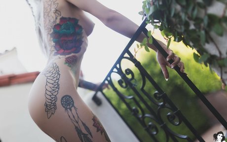 Ivory belle star du porno galeries