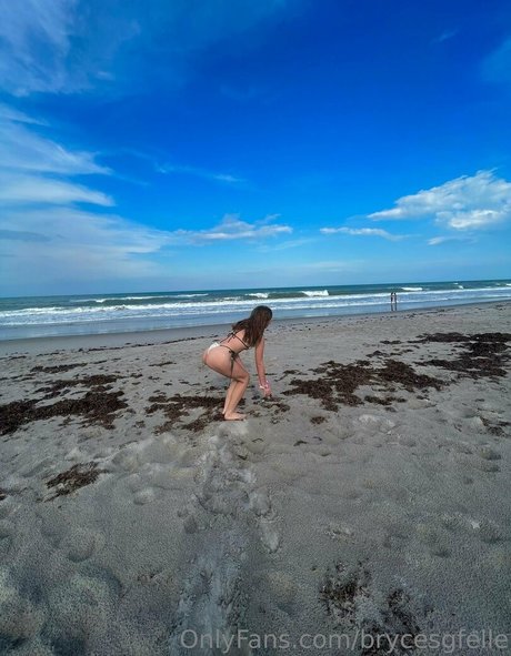 brycesgfelle star du porno nue galeries