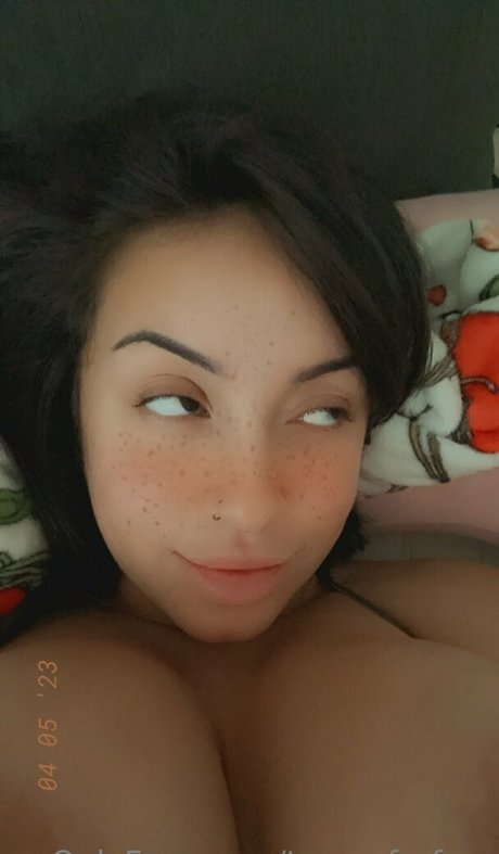 chaton courbé onlyfans érotique exclusif collection