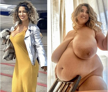 chaton potelé uniquementfans hd parfait photo