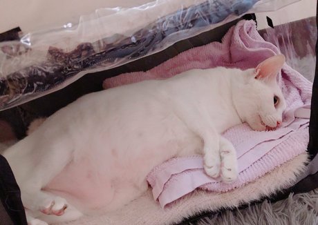 pieds de grand-mère uniquementfans chaud nu galerie