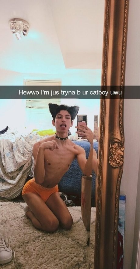 twinku nus étoiles photo