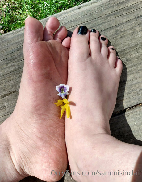 sammisinclair étoile hd collection