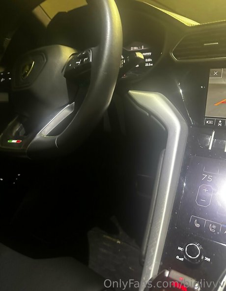 biglivvv modèle magnifique image