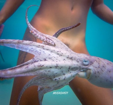 TheNakedIsland étoile de haute qualité img