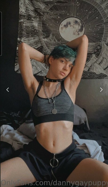 Dannygaypuppy actrice adulte photos
