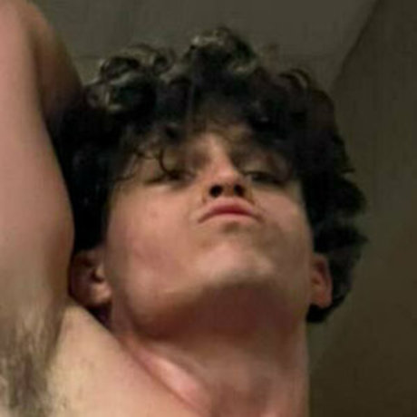 cashalphaconnor étoile de haute qualité galeries