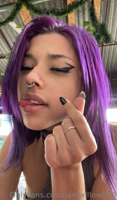 iamwillow003 modèle meilleur images