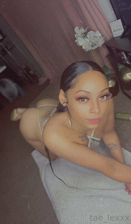 fans en fauteuil roulant uniquement exclusif gratuit image