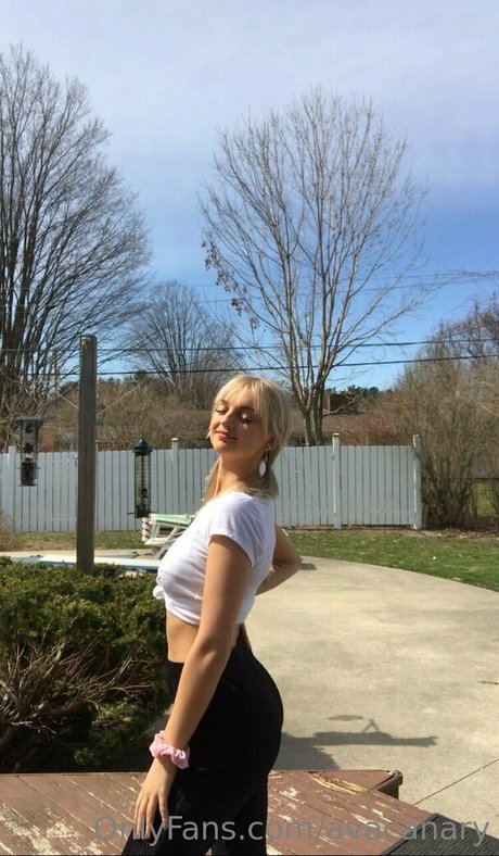 avacanary star du porno adulte collection