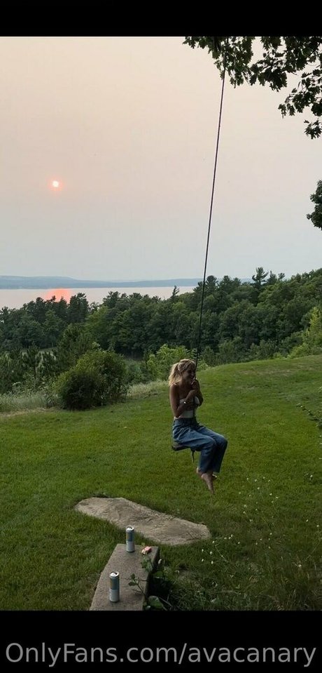 avacanary étoile hd img