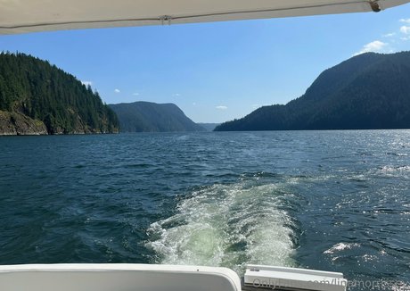 linamorrissey étoile adulte des photos