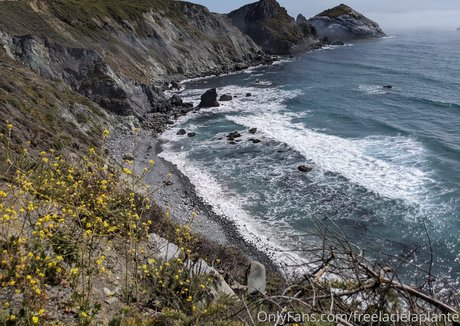 chaton potelé uniquementfans porno de haute qualité galeries