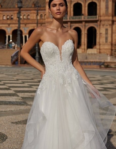 chaton courbé onlyfans art haute définition des photos