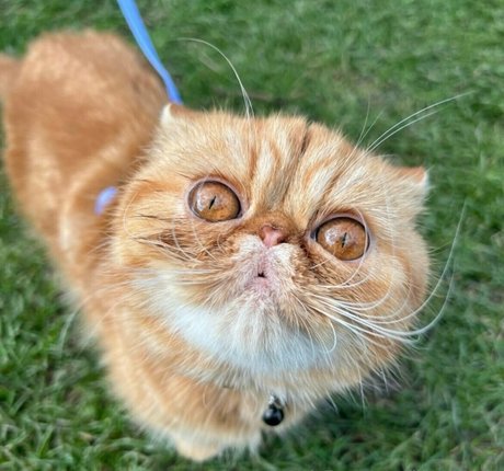 lilu666999 étoile de l'art photo