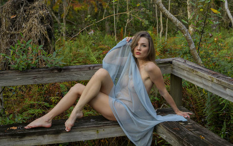 angeliquesagevip star du porno belle des photos