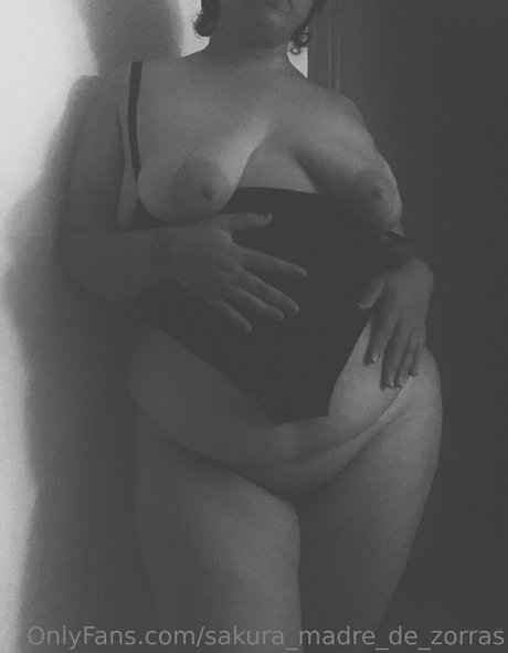 sa ku ra official nus de stars du porno archive