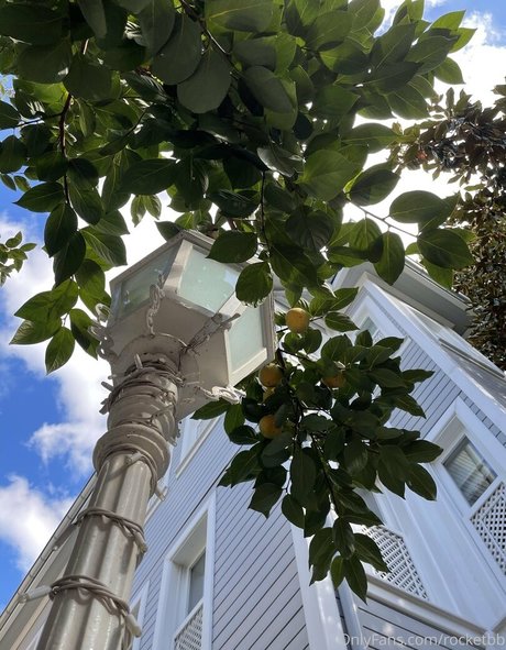 rocket bb star du porno nue photos