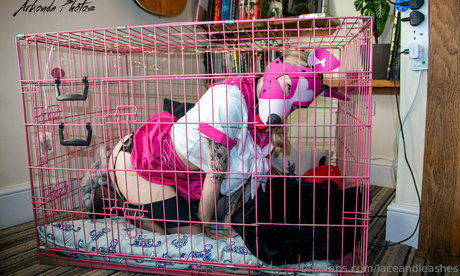 laceandleashes étoile archive