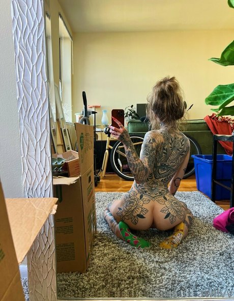 Awlivv meilleure étoile collection