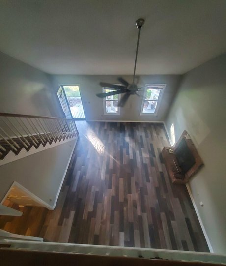 bee88i étoile nue images