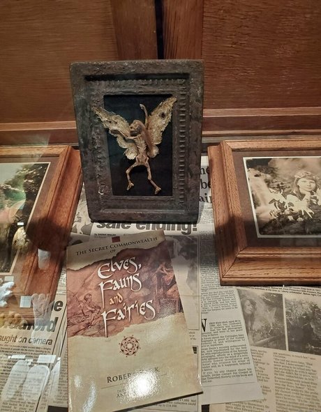 bee88i actrice adulte photo