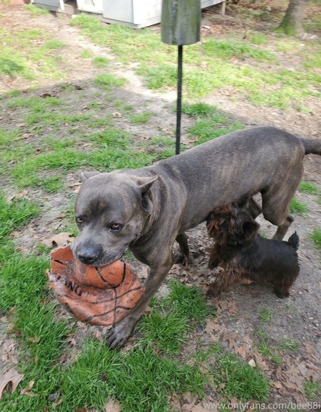 béance anale uniquementfans porno nu photo